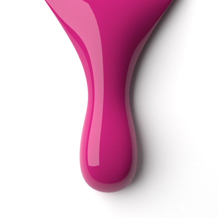 Fuchsia Freeze