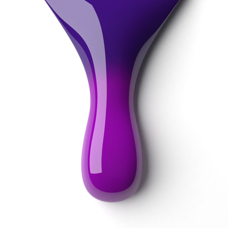 Royal Orchid