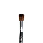 Ombré Powder Brush